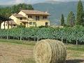 ASSISI B&B-CASA VACANZE A BASSO COSTO