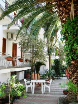 Graziosi bilocali con balcone o giardino si animali - Alba Adriatica