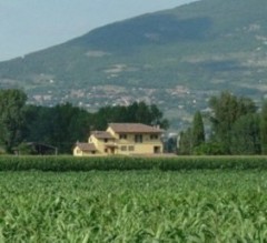 LAST MINUTE 15-22 AGOSTO ASSISI 420 euro x appartamento vacanze